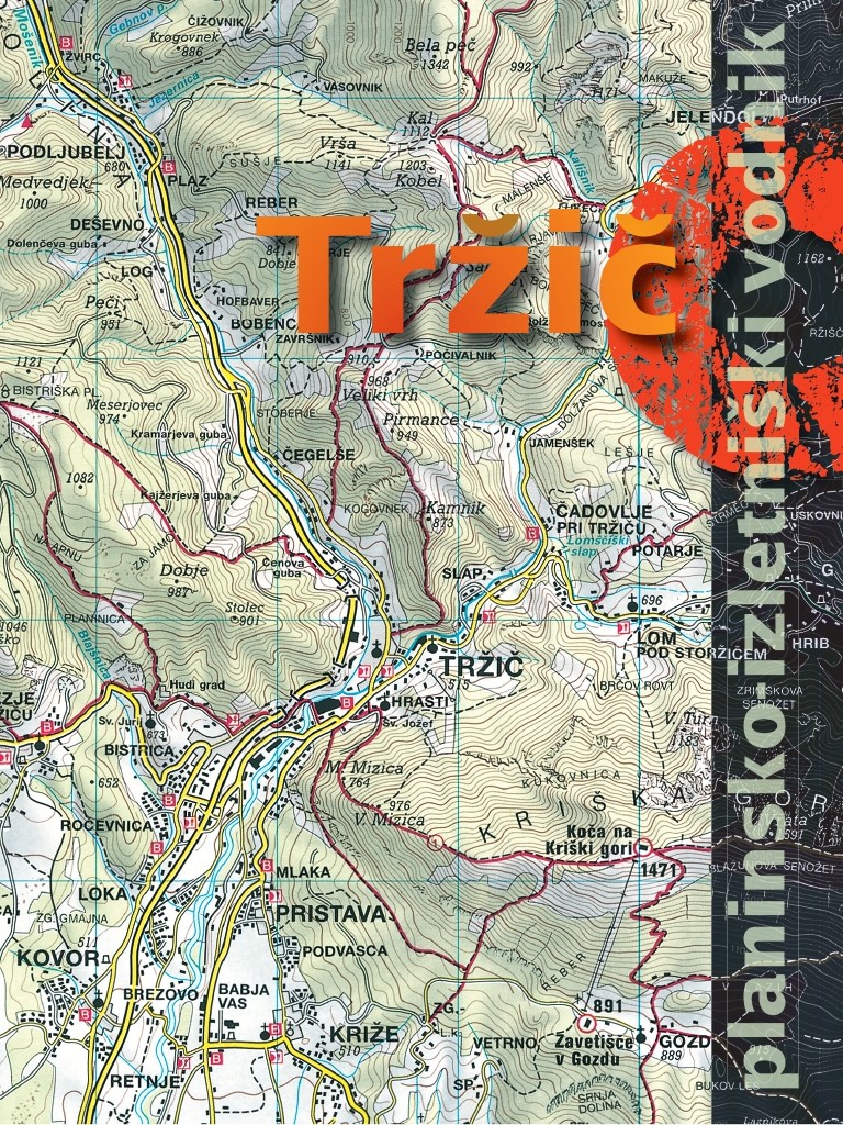 Trzic